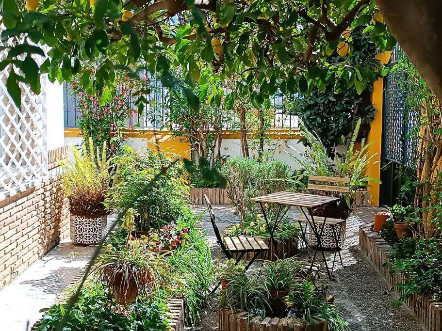 Villa Casa Limonero Con Parking Gratis Junto A Centro Historico Granada Esterno foto