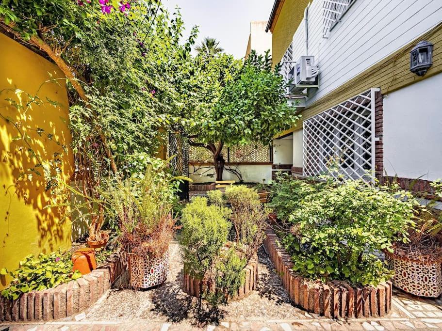 Villa Casa Limonero Con Parking Gratis Junto A Centro Historico Granada Esterno foto