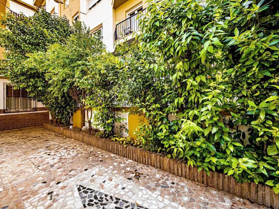 Villa Casa Limonero Con Parking Gratis Junto A Centro Historico Granada Esterno foto