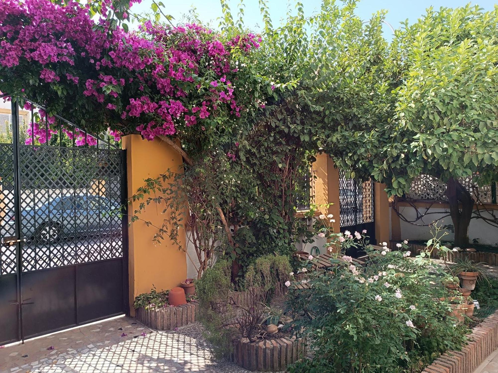 Villa Casa Limonero Con Parking Gratis Junto A Centro Historico Granada Esterno foto